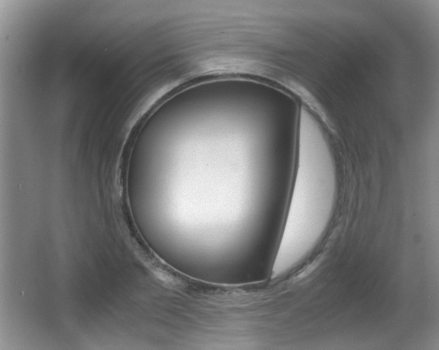 X0000066980885200603241042