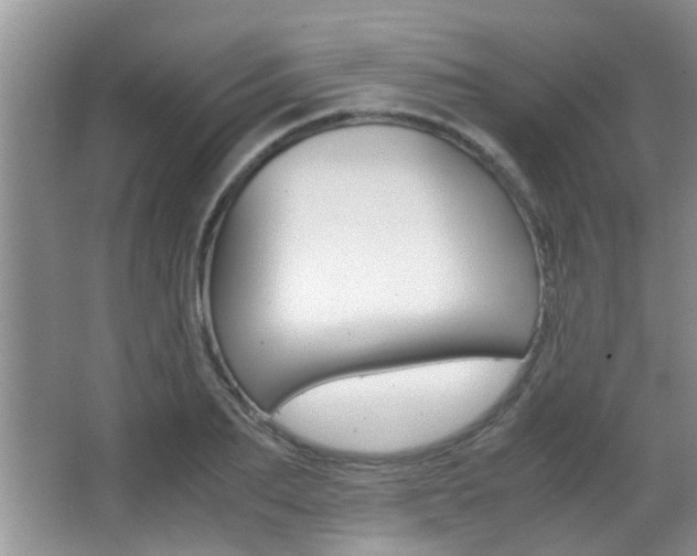 X0000066980887200603241042