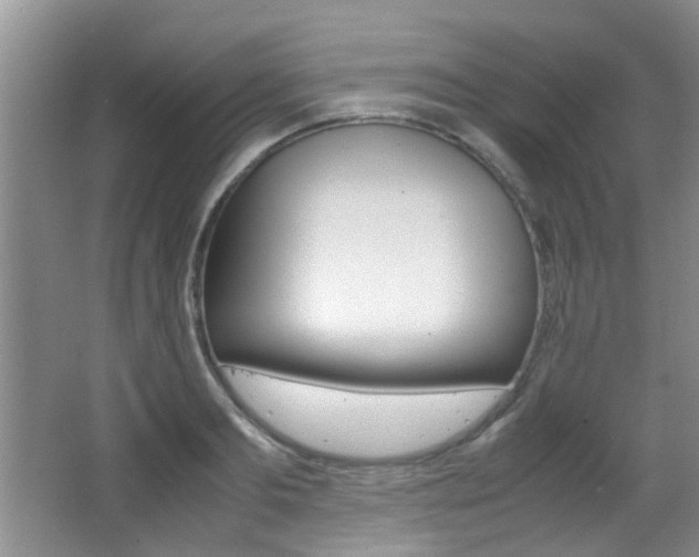 X0000066980893200603241042