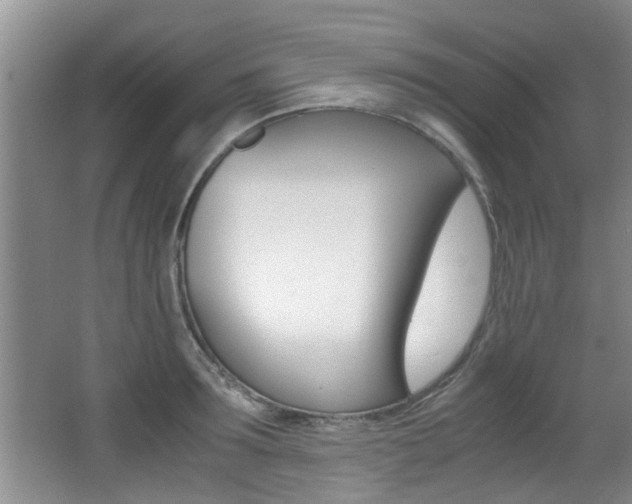 X0000066980899200603241042