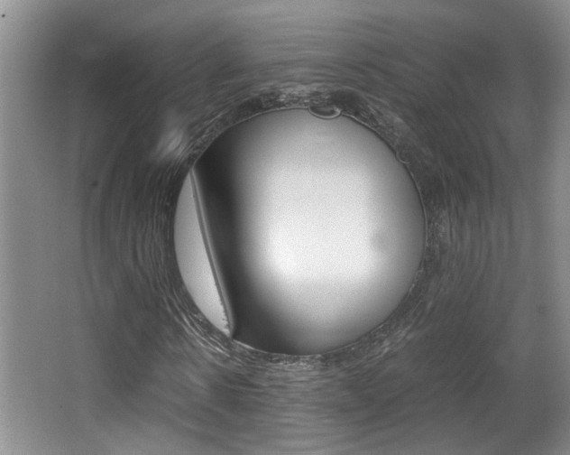 X0000066980914200603241041