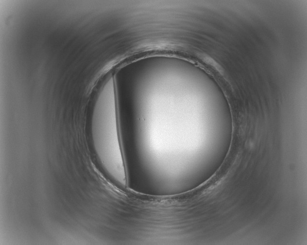 X0000066980922200603241041