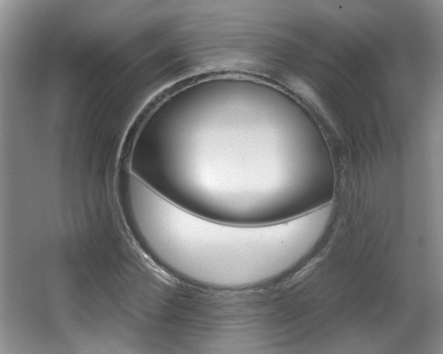 X0000066980924200603241041