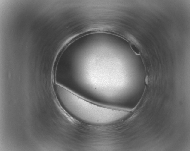 X0000066980940200603241041