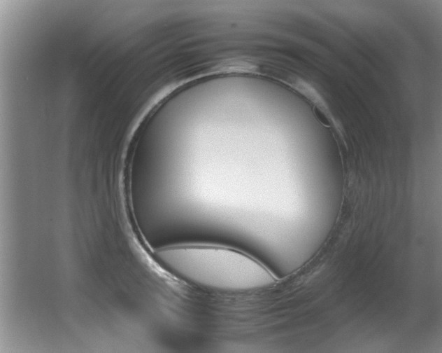 X0000066980947200603241042