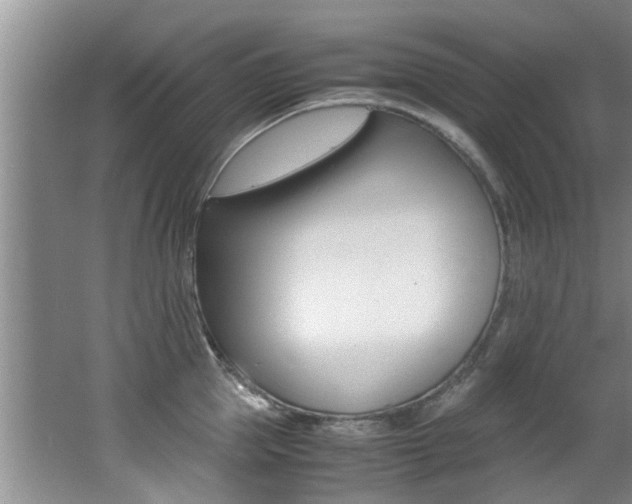 X0000066980953200603241042