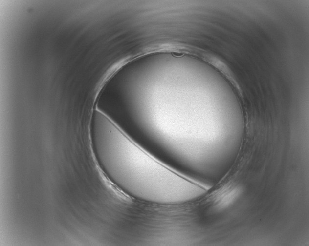 X0000066980954200603241042