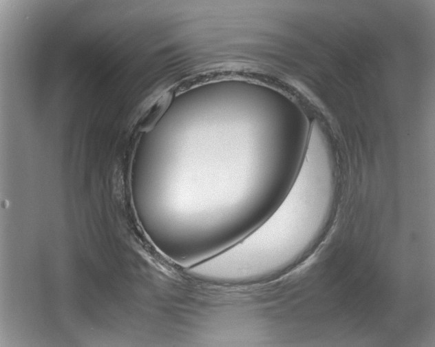 X0000066980969200603241041