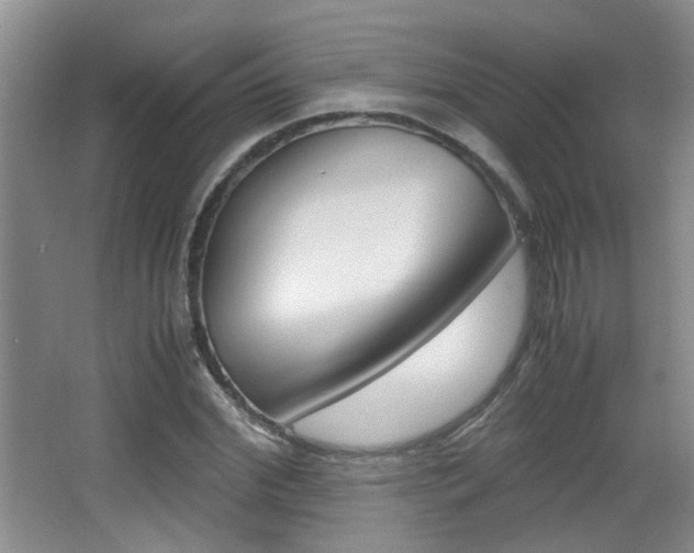 X0000066980972200603241041