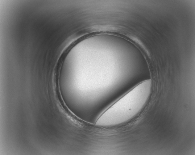 X0000066980983200603241041
