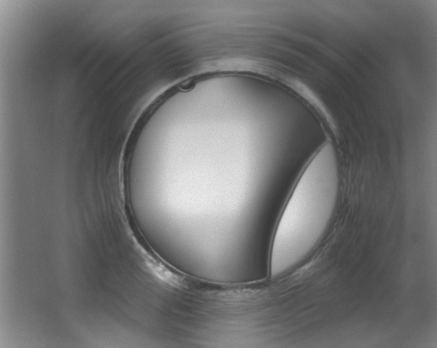 X0000066980988200603241041