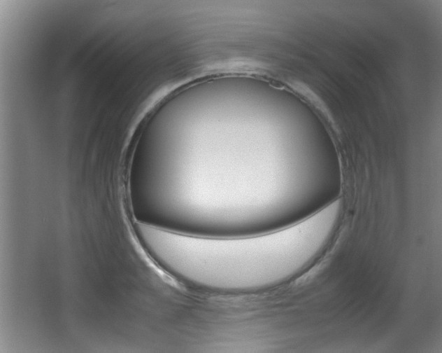 X0000066980989200603241041