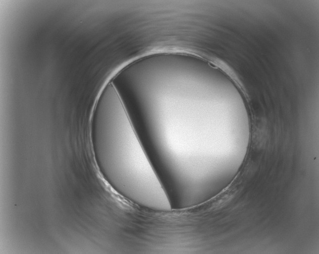 X0000066981004200603241040