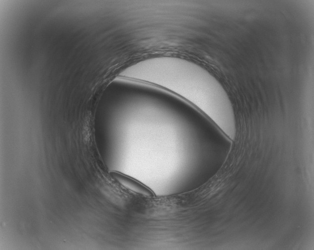 X0000066981012200603241039