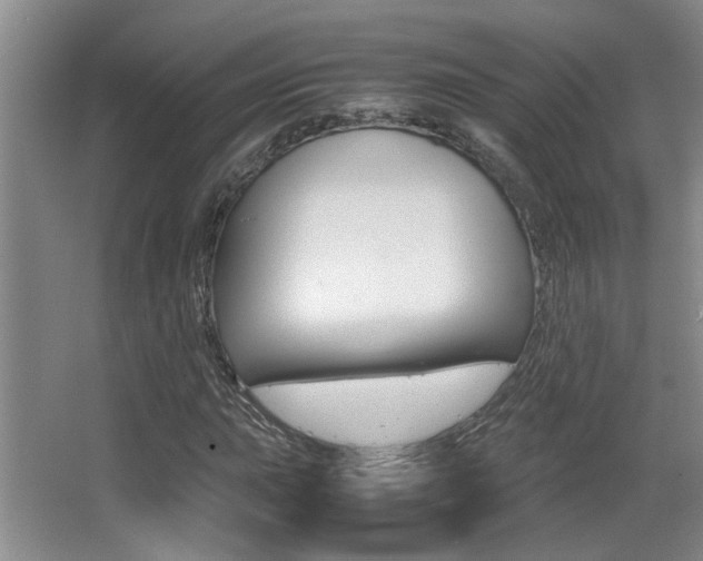 X0000066981015200603241040