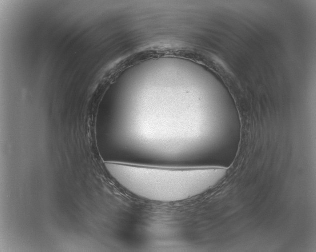 X0000066981016200603241040