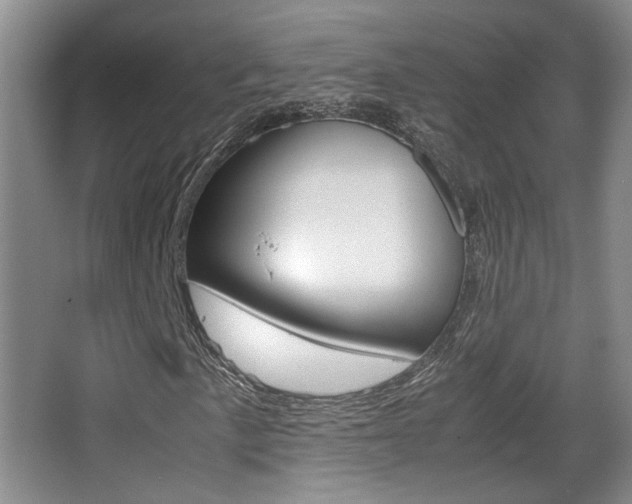 X0000066981057200603241039