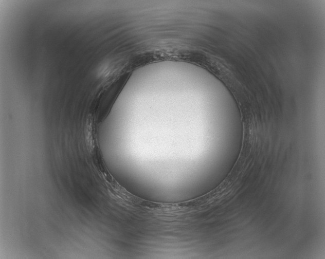 X0000066981060200603241039