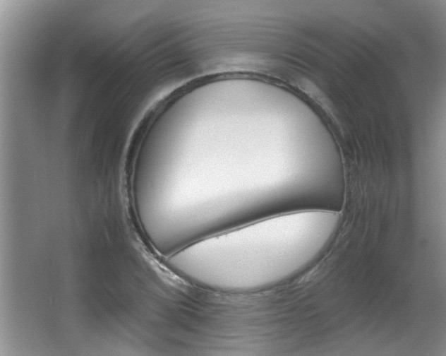 X0000066981072200603241039