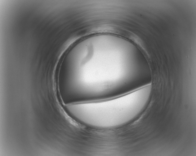 X0000066981082200603241039