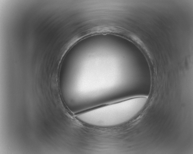X0000066981089200603241039