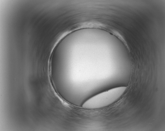 X0000066981103200603241039