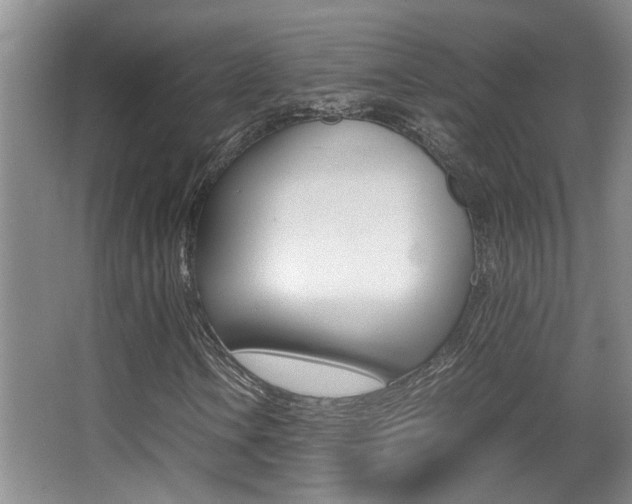 X0000066981106200603241038