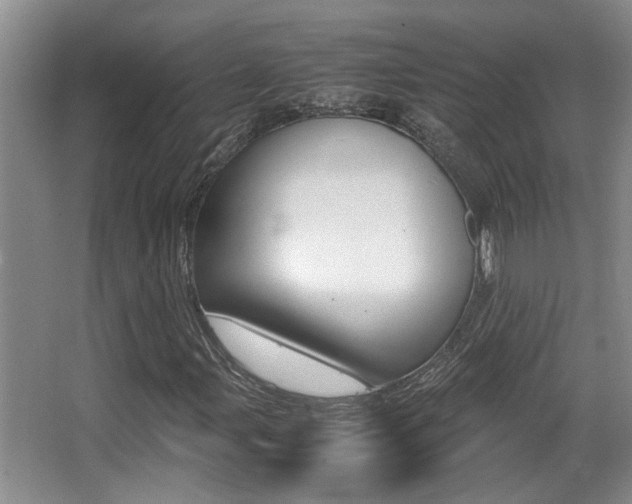 X0000066981107200603241038
