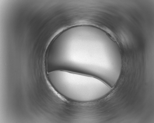 X0000066981142200603241038