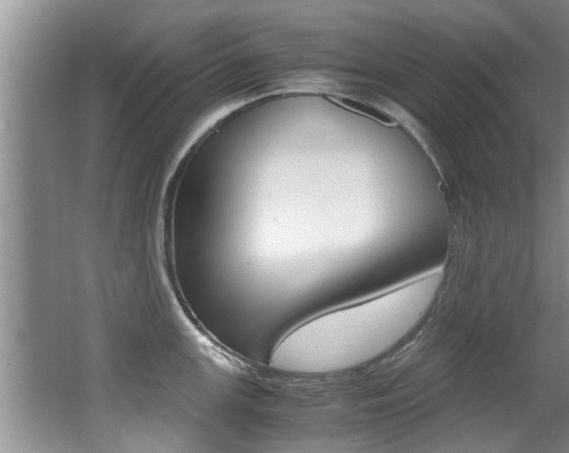 X0000066981147200603241038