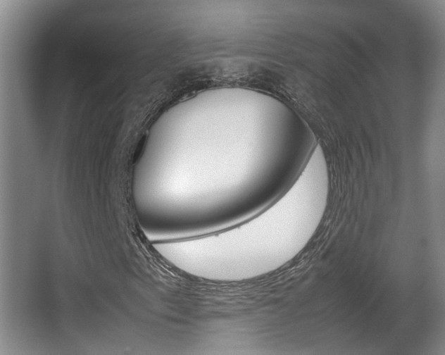 X0000066981153200603241038
