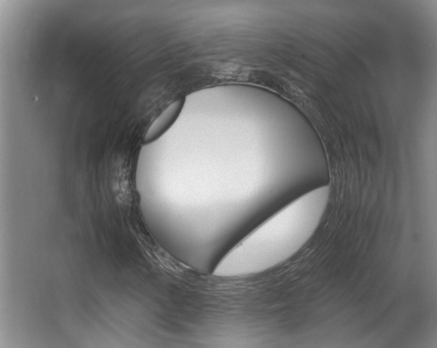 X0000066981154200603241038