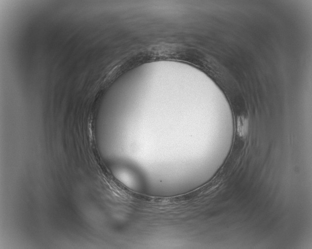 X0000066981155200603241038