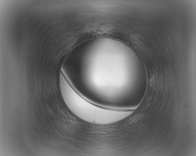X0000066981156200603241038