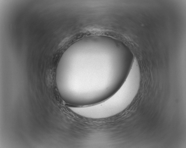 X0000066981157200603241038