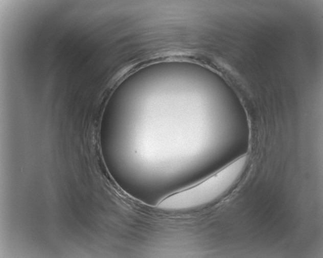 X0000066981169200603241037