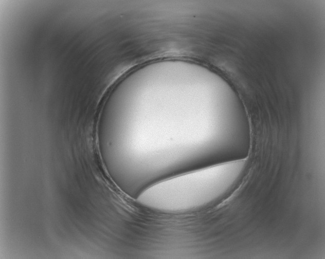 X0000066981170200603241037