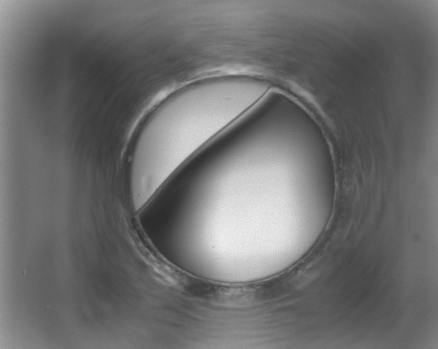 X0000066981171200603241037