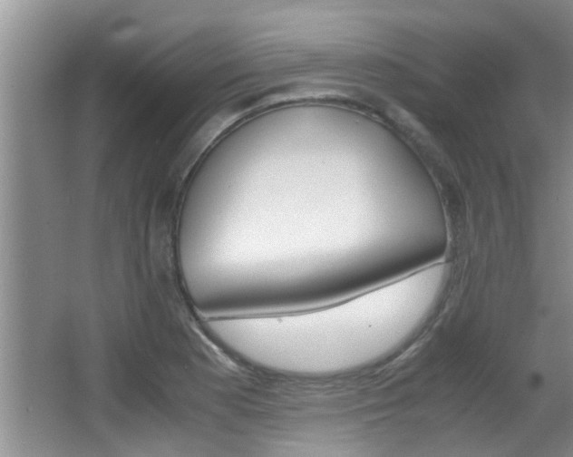 X0000066981177200603241037