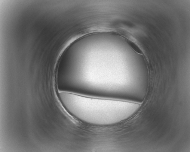 X0000066981187200603241037