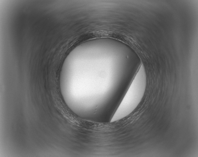 X0000066981201200603241036