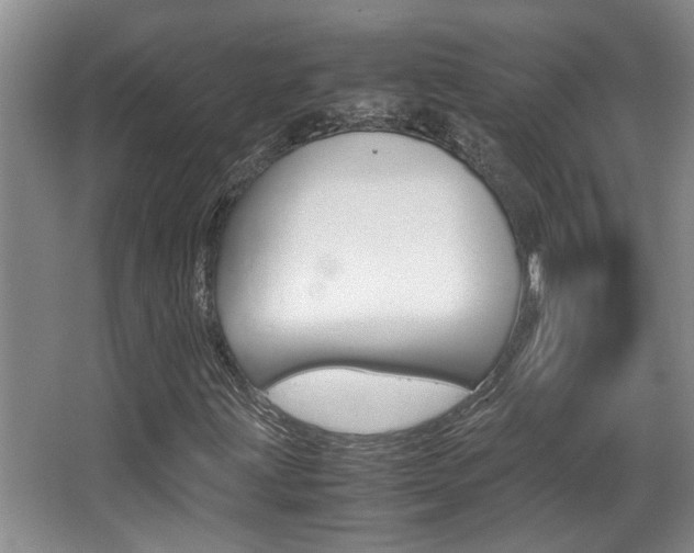 X0000066981203200603241036