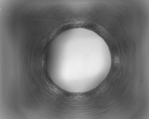 X0000066981204200603241036