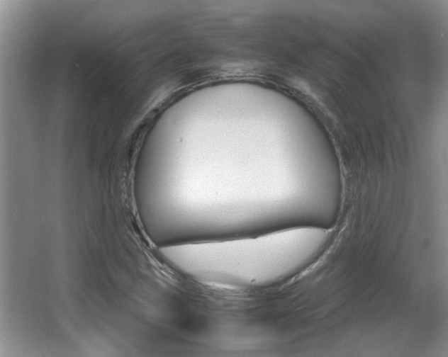 X0000066981211200603241036