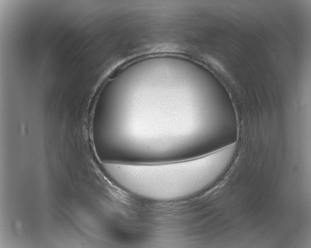 X0000066981212200603241036