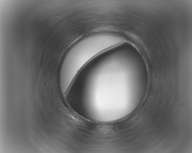 X0000066981217200603241036