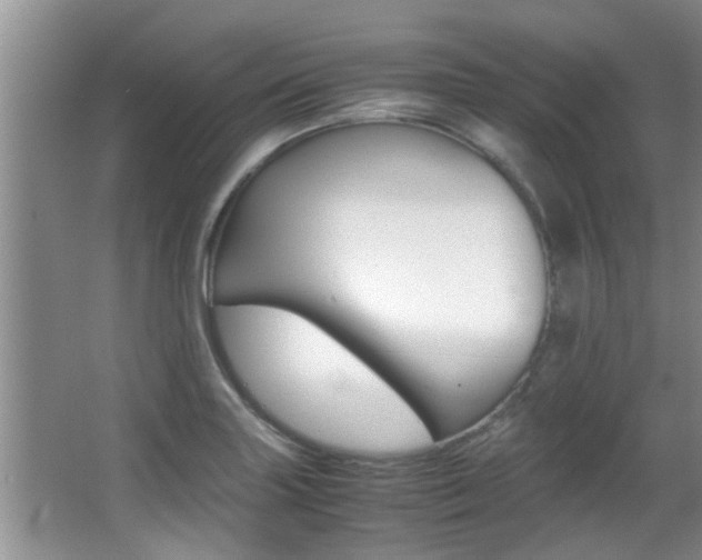 X0000066981227200603241037
