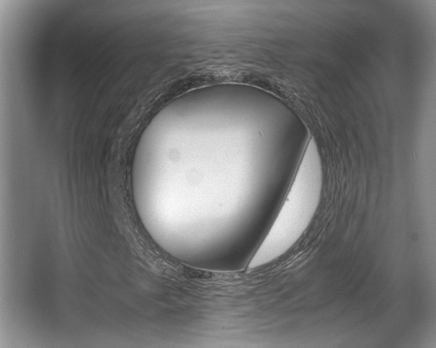 X0000066981249200603241036