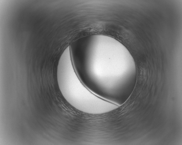 X0000066981250200603241036
