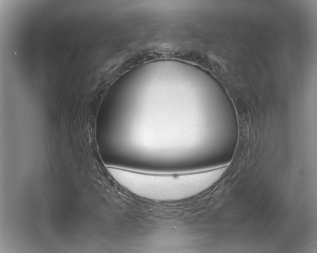 X0000066981253200603241036
